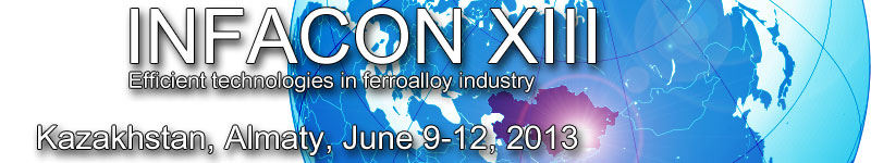 Infacon XIII